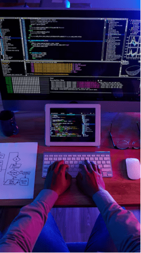 Web <br> Development