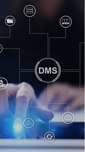 Database  <br>Management