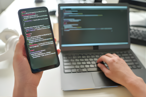 Custom Software Application Development