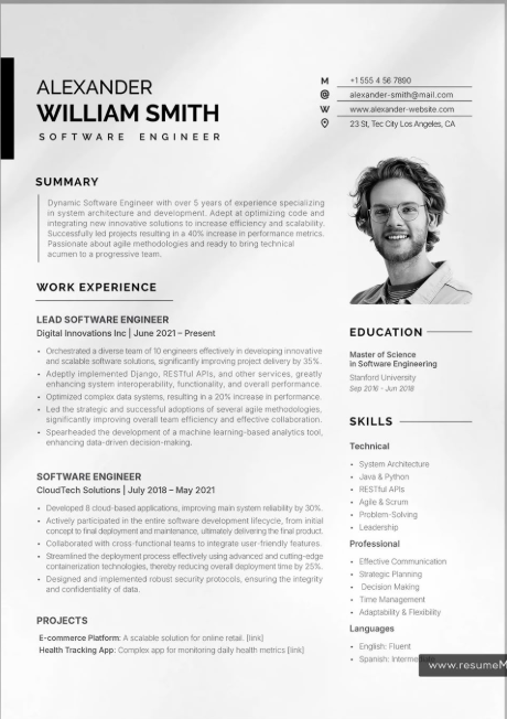 Developer Cross Grid resume template