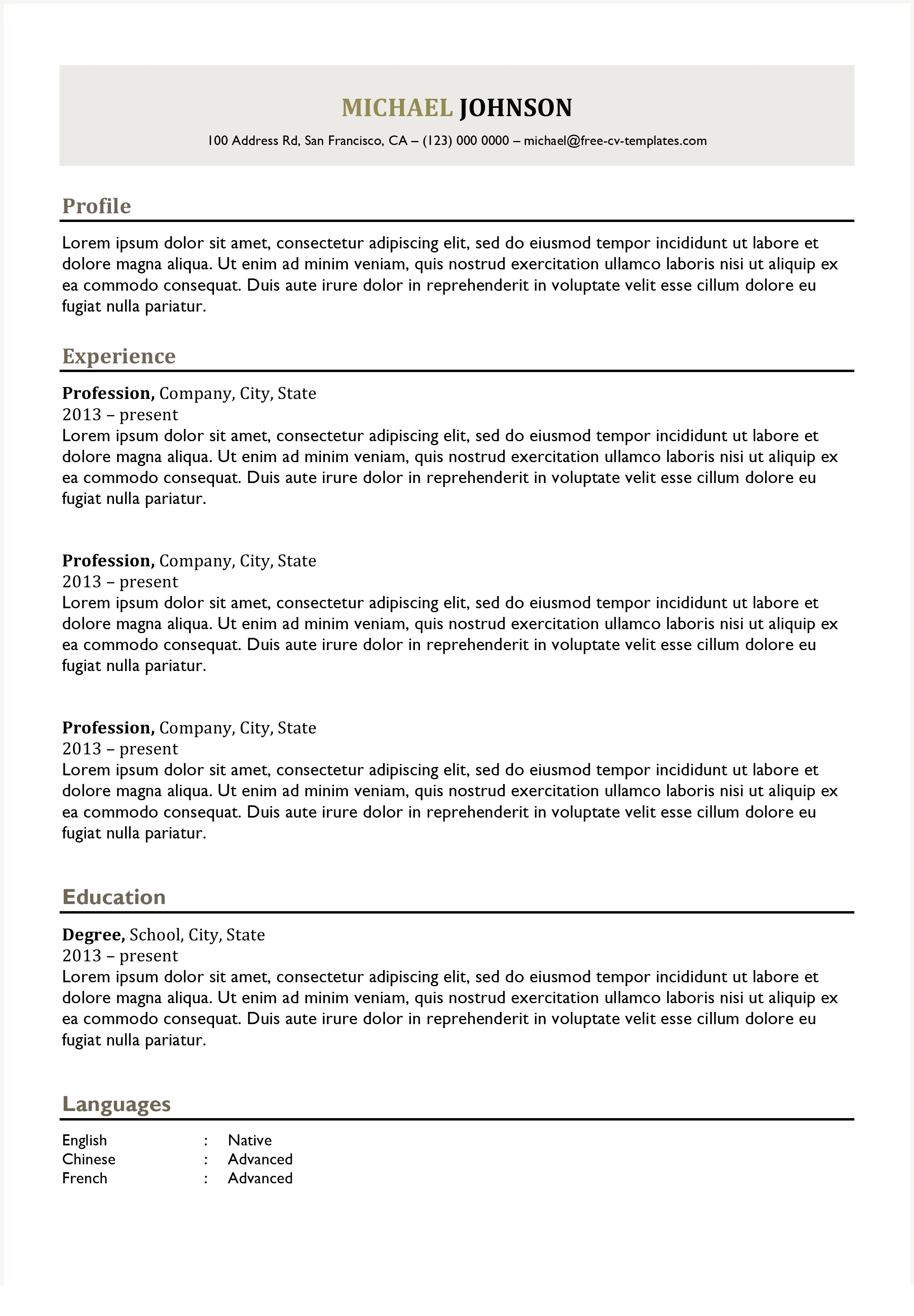 Classic Professional Resume Template